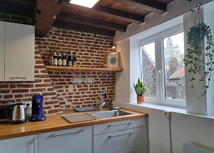 Duplex Heart Of Old Lille