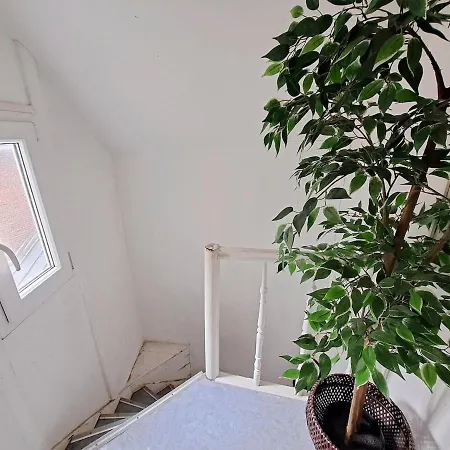 Duplex Heart Of Old Appartement