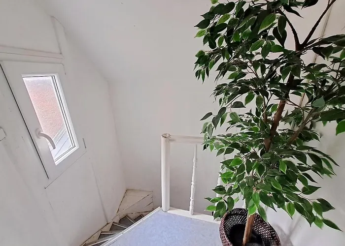 Duplex Heart Of Old Appartement