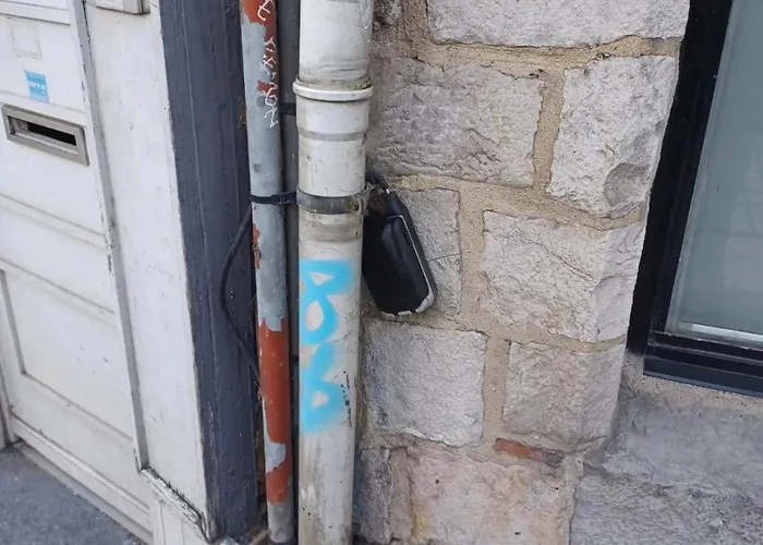 Duplex Heart Of Old * Rijsel