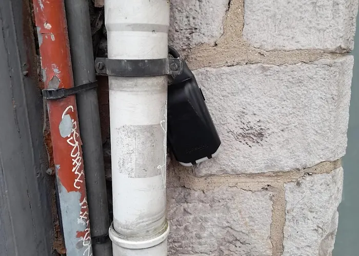 Duplex Heart Of Old *